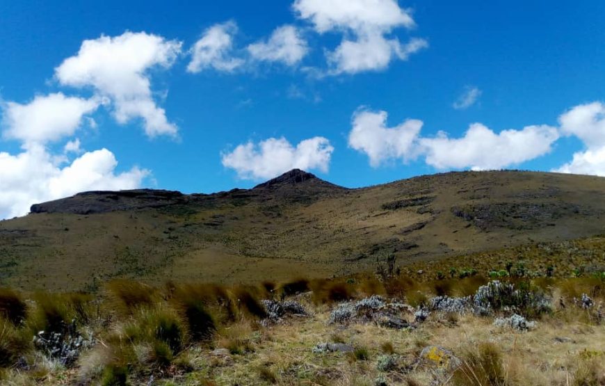 Mount Elgon peak hiking Tour