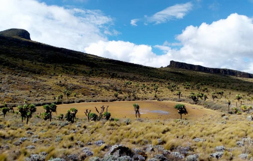 Mount Elgon peak hiking Tour