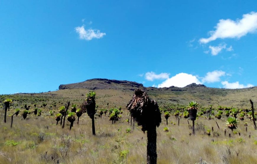 Mount Elgon peak hiking Tour