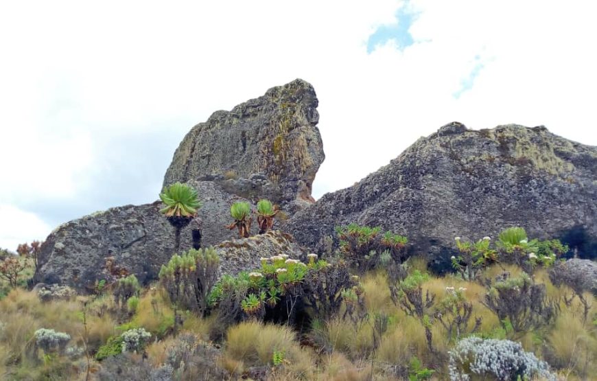 Mount Elgon peak hiking Tour